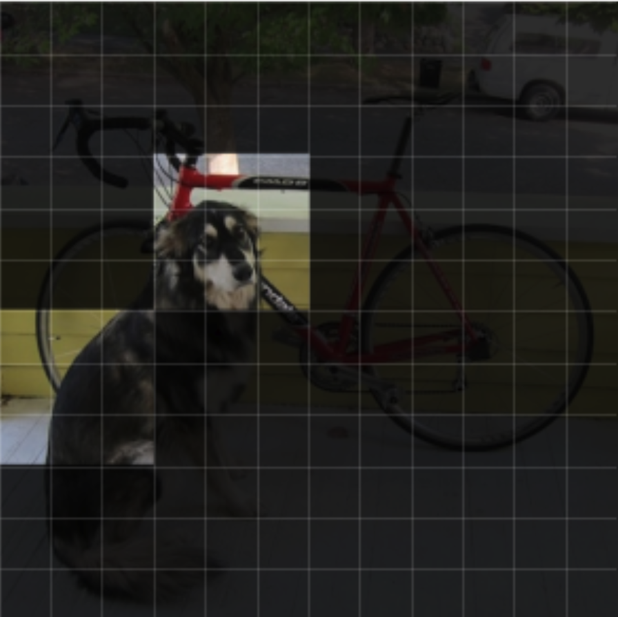Regions routed for the word dog at layer 10.