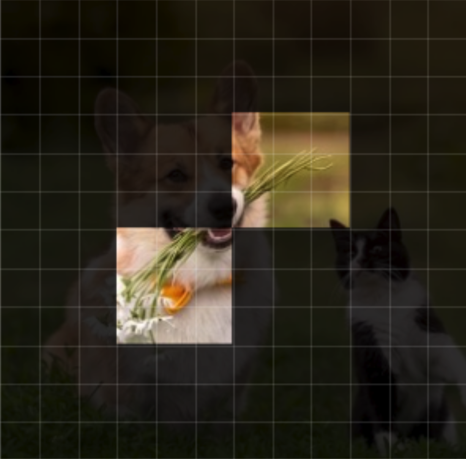 Regions routed at layer 10 for the word flowers: the flowers in the dog's mouth.