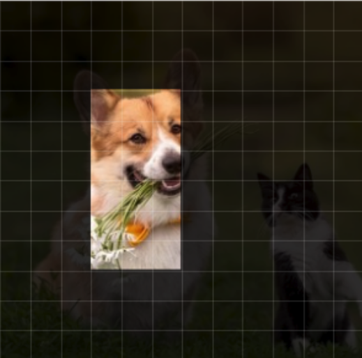 Regions routed at layer 23 for the word flowers: the dog's head and the flowers.