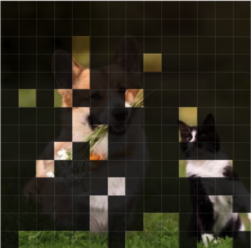 Tokens kept by HERMES at layer 23: scattered patches on the dog and the cat.