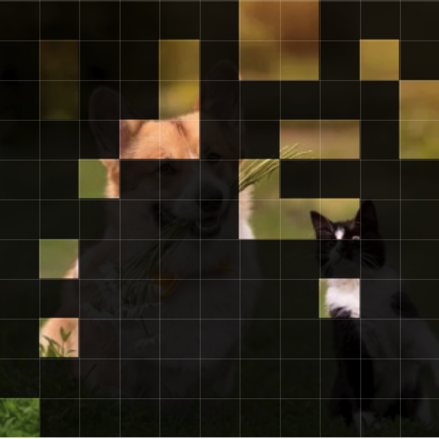 Tokens kept by InfiniPot-V at layer 10: scattered patches across the image.