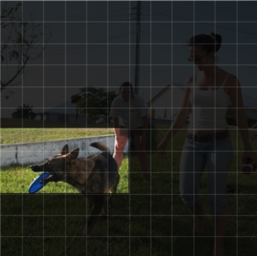 Regions routed for the word dog at layer 10.